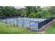 Outdoor pickleball courts providing a recreational amenity for residents surrounded by trees and lush greenery at 250 Martin Ridge Ct, Roswell, GA 30076