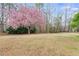 Large backyard with lush greenery and mature trees, perfect for outdoor activities at 3642 Falls Trl, Winston, GA 30187