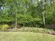 Serene backyard with lush greenery, trees, and well-maintained landscaping at 3455 Buffington Ln, Cumming, GA 30040
