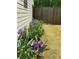 Charming garden featuring vibrant purple flowers and lush greenery along the fence line at 3455 Buffington Ln, Cumming, GA 30040
