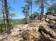 Breathtaking view from a rocky, elevated natural landscape with a distant river and trees at 3455 Buffington Ln, Cumming, GA 30040
