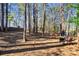 Secluded wooded backyard with seating, perfect for relaxing and enjoying nature at 3011 Canyon Point Cir, Roswell, GA 30076