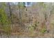 Scenic wooded view from property highlighting the natural beauty of the surrounding landscape at 2875 Waterstone Dr, Cumming, GA 30041