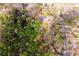 Aerial view showcases the property nestled among lush trees in a peaceful neighborhood at 1714 Highland Pl, Decatur, GA 30035