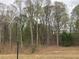 View of the wooded backyard from the home at 1282 Ainsworth Aly, Sugar Hill, GA 30518