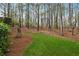 Backyard with grass and tree coverage; perfect for relaxing in nature at 4847 Sara Creek Way, Sugar Hill, GA 30518