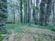 The backyard features a well-maintained lawn and mature trees at 1090 Tanglewood Trl, Woodstock, GA 30189