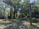A view of the yard with a broken tree limb on the ground and an old utility pole visible at 3008 Grand Sw Ave, Atlanta, GA 30315