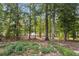 Wooded backyard featuring mature trees and an expansive lawn at 3275 Aldrich Dr, Cumming, GA 30040