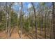 Scenic backyard filled with many trees and green foliage at 1007 Springharbor Walk, Woodstock, GA 30188