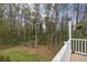Overlooking the backyard trees from an outdoor deck with a white railing and hanging plant at 1007 Springharbor Walk, Woodstock, GA 30188