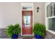 Charming front entry with vibrant potted ferns flanking the doorway and a stylish exterior light fixture at 914 Martin Nw St, Atlanta, GA 30318
