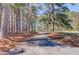 Scenic view of a private driveway surrounded by tall trees and natural landscape at 692 W Union Grove Cir, Auburn, GA 30011