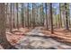 Long driveway leading to the house at 692 W Union Grove Cir, Auburn, GA 30011