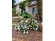 Lush backyard featuring a mature azalea bush and inviting outdoor space at 1239 Bonshaw Trl, Marietta, GA 30064