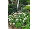 Picturesque landscaping showcasing vibrant white daisies around a modern light post at 1239 Bonshaw Trl, Marietta, GA 30064
