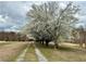 Long driveway lined with flowering trees lead to the house at 5791 Warren Farm Sw Rd, Powder Springs, GA 30127