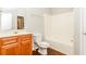 Well-lit bathroom featuring a tub with shower and a wooden vanity at 245 Astoria Way, Mcdonough, GA 30253