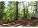 Landscaped backyard with a tree swing at 4314 Saddlecreek Ct, Auburn, GA 30011