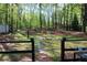 View of the spacious backyard featuring a batting cage, shed and mature trees at 4314 Saddlecreek Ct, Auburn, GA 30011