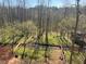 Scenic backyard with creek flowing through a heavily wooded landscape at 2275 Barrett Dr, Cumming, GA 30040