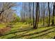 A grassy plot of land is filled with trees and features a small creek at 2275 Barrett Dr, Cumming, GA 30040