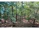 View from the deck of the beautiful and serene wooded backyard at 525 Sycamore Pt, Woodstock, GA 30189