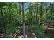 Beautiful, lush, green backyard with an abundance of hardwood trees and shade at 525 Sycamore Pt, Woodstock, GA 30189