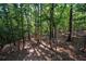 Lush, green backyard with an abundance of hardwood trees at 525 Sycamore Pt, Woodstock, GA 30189