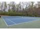 Community tennis courts for residents to stay active and enjoy friendly matches at 2555 Stonevalley Ln, Cumming, GA 30041