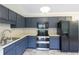 Kitchen boasts stainless appliances and ample cabinet space at 301 Thorn Thicket Dr, Rockmart, GA 30153