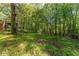 Large backyard with grassy lawn and a serene wooded backdrop provides natural privacy at 904 Little River Ln, Woodstock, GA 30189