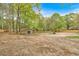 Scenic view of large back yard with mature trees and wooden shed against lush landscape at 484 Lorene Sw Dr, Marietta, GA 30060