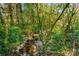 Scenic creek flowing through lush greenery, offering a serene natural backdrop at 2322 Poplar Springs Ne Dr, Brookhaven, GA 30319