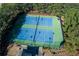 Overhead view of community tennis courts, great for recreational games at 432 Horizon Trl, Canton, GA 30114
