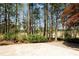 View of the backyard with the treeline, grass, and lush greenery at 4449 Lashley Dr, Tucker, GA 30084