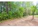 Scenic backyard featuring mature trees and a pathway at 10104 Fairington Ridge Cir, Lithonia, GA 30038