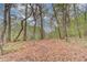 Beautiful wooded area and natural landscaping at 1343 Riverview Run Ln, Suwanee, GA 30024