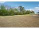 Lush backyard surrounded by natural greenery, perfect for creating an outdoor oasis at 156 Marchmont Dr, Locust Grove, GA 30248