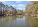 Scenic view of the lake surrounded by mature trees and natural beauty with direct access at 10845 Shallowford Rd, Roswell, GA 30075