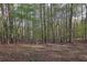 Enjoy this huge lot with mature trees that provides lots of shade and privacy at 925 Crab Orchard Dr, Roswell, GA 30076