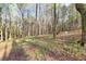Scenic backyard with mature trees and natural landscaping, providing privacy at 2466 Monroe Jersey Rd, Covington, GA 30014