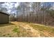 View of a spacious backyard with trees and lush greenery at 313 Morgan Rd, Temple, GA 30179