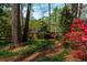 View of lush backyard with ivy ground cover, trees, and colorful azalea bushes around the property at 6795 Brandon Mill Rd, Atlanta, GA 30328