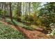 Sloped backyard features lush ivy ground cover and mature trees, providing a serene landscape at 6795 Brandon Mill Rd, Atlanta, GA 30328