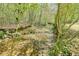 Scenic backyard with a creek flowing through lush greenery and mature trees at 1010 Allenbrook Ln, Roswell, GA 30075