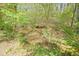 A tranquil creek flows through a wooded area, enhancing the natural beauty of the property at 1010 Allenbrook Ln, Roswell, GA 30075
