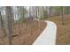 Long driveway leading up to the home in the woods at 240 Wrights Mill Way, Canton, GA 30115