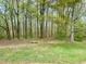 Open backyard with a bench under the trees, offering a peaceful and secluded retreat at 2210 Holly Springs Rd, Rockmart, GA 30153