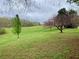 Scenic backyard with a lush green lawn and mature trees, perfect for outdoor enjoyment at 2210 Holly Springs Rd, Rockmart, GA 30153